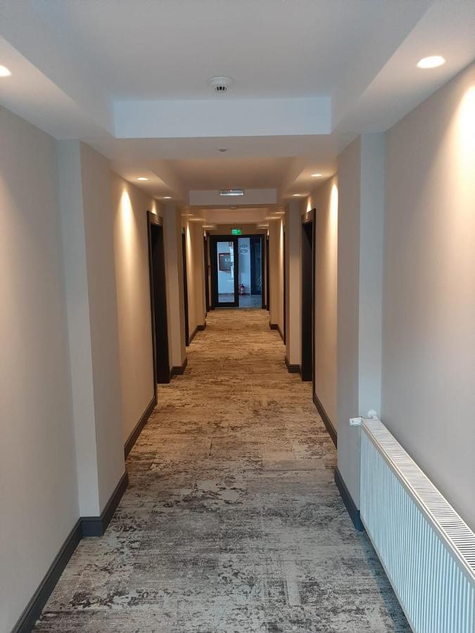 Hotel Artemis à Băile Herculane Extérieur photo
